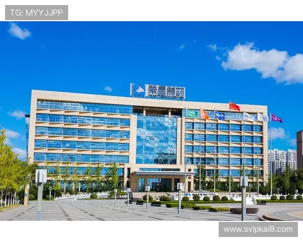 凯发k8天生赢家积极布局国际市场，推动品牌全球化战略稳步推进