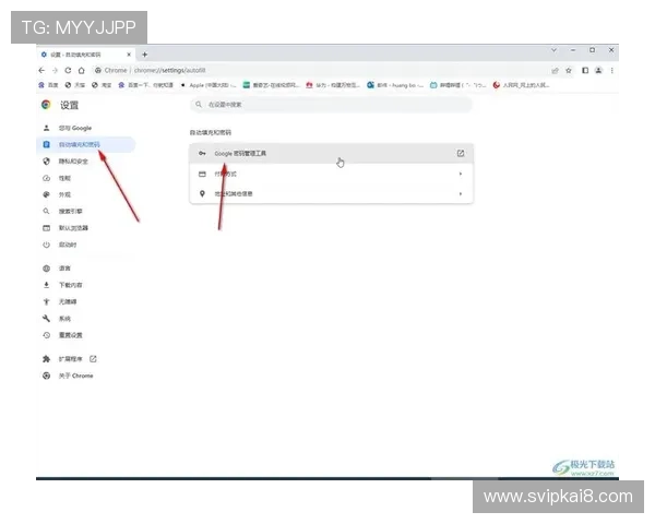 凯发九游娱乐手机登录账号注册与密码找回详细流程,保障你的账户安全 凯发九游娱乐手机登录账号注册与密码找回详细流程,保障你的账户安全